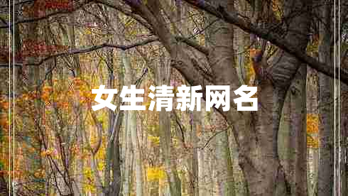 女生清新網(wǎng)名
