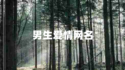 男生愛(ài)情網(wǎng)名 男生愛(ài)情網(wǎng)名