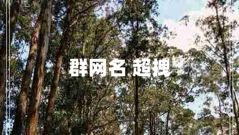 群網(wǎng)名 超拽
