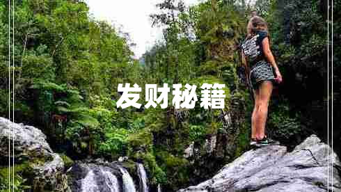 發(fā)財(cái)秘籍 發(fā)財(cái)秘籍
