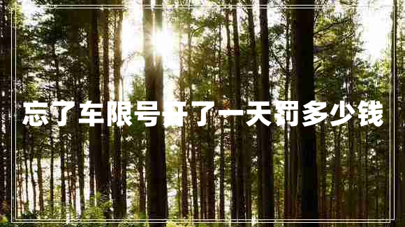 忘了車限號(hào)開(kāi)了一天罰多少錢(qián)