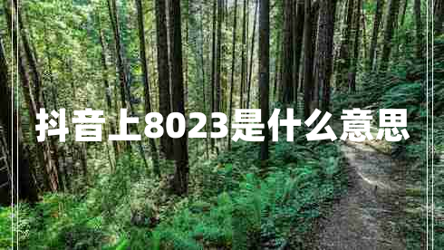 抖音上8023是什么意思