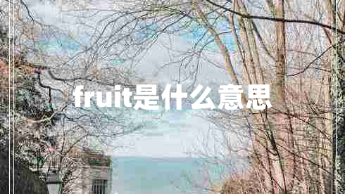 fruit是什么意思