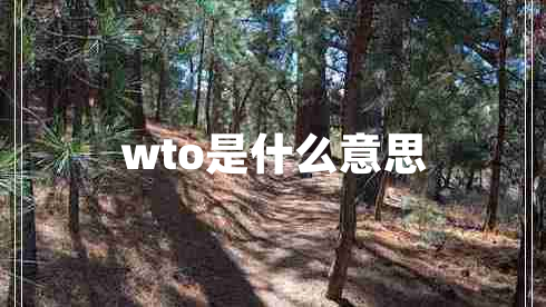 wto是什么意思