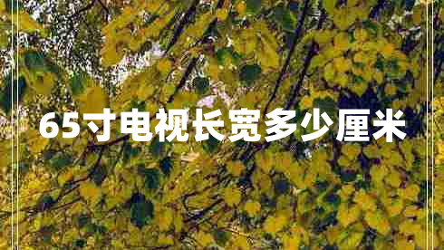 65寸電視長(zhǎng)寬多少厘米