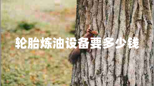 輪胎煉油設(shè)備要多少錢