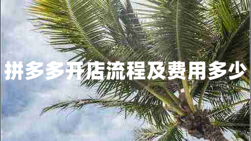 拼多多開店流程及費用多少