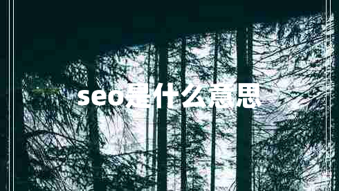 seo是什么意思 seo是什么意思