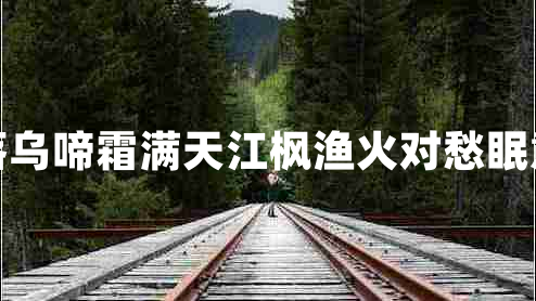 月落烏啼霜滿天江楓漁火對(duì)愁眠意思