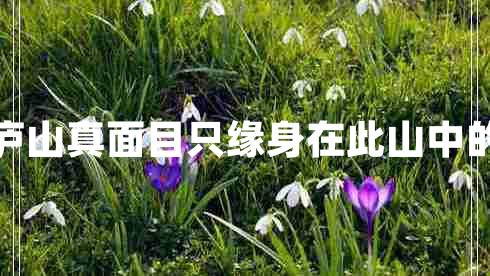 不識廬山真面目只緣身在此山中的意思