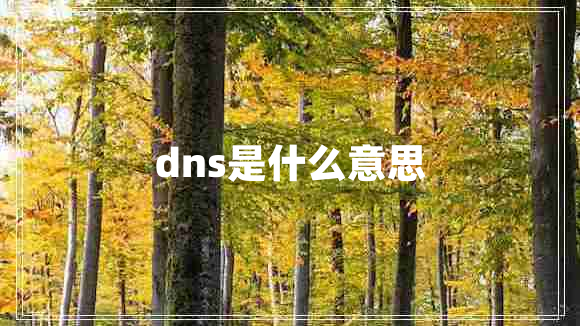 dns是什么意思 dns是什么意思