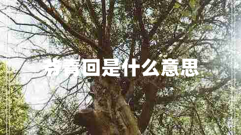 爺青回是什么意思