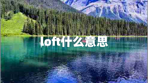 loft什么意思