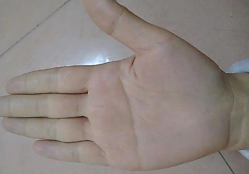 斷掌紋的女人 斷掌紋的女人