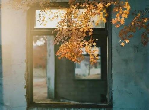 女人看淡一切的昵稱 女人看淡一切的昵稱