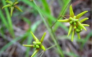 徐長(zhǎng)卿的典故