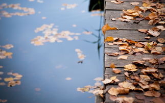 大恩如大仇典故