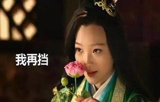 魏美人割鼻子典故,魏美人割鼻子典故成語(yǔ),楚國(guó)被割鼻子的美人