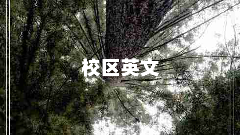 校區(qū)英文