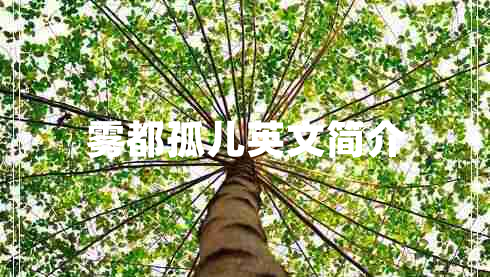 霧都孤兒英文簡(jiǎn)介