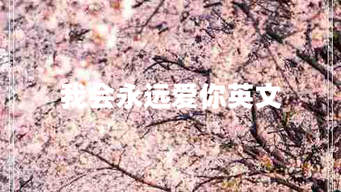 我會(huì)永遠(yuǎn)愛你英文
