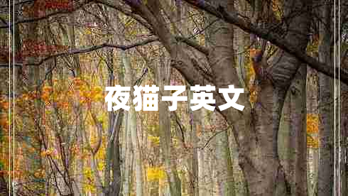 夜貓子英文