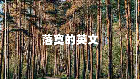 落寞的英文
