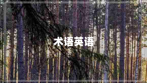 術(shù)語(yǔ)英語(yǔ)