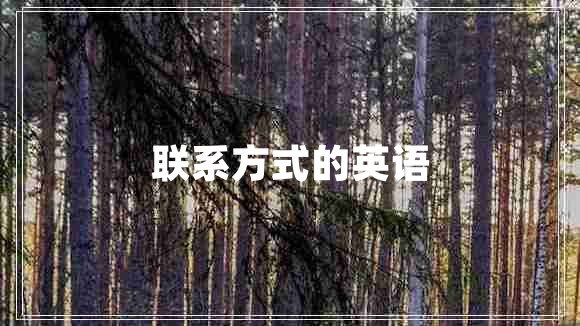 聯(lián)系方式的英語(yǔ)