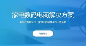 同城購(gòu)策劃運(yùn)營(yíng)方案