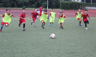 足球夏令營活動策劃方案