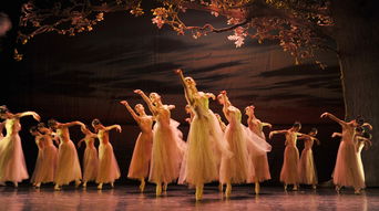 舞蹈專場策劃方案