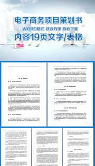 電子商務(wù)活動(dòng)策劃方案