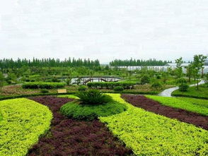 休閑農(nóng)莊項(xiàng)目策劃方案