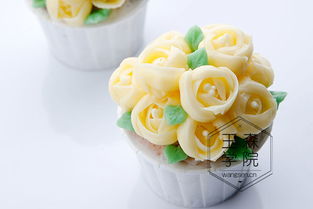 蛋糕裱花大賽活動(dòng)策劃方案