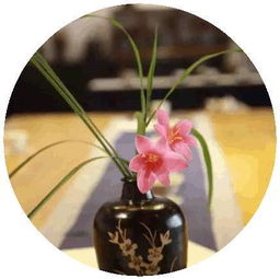 云南茶會(huì)的策劃方案