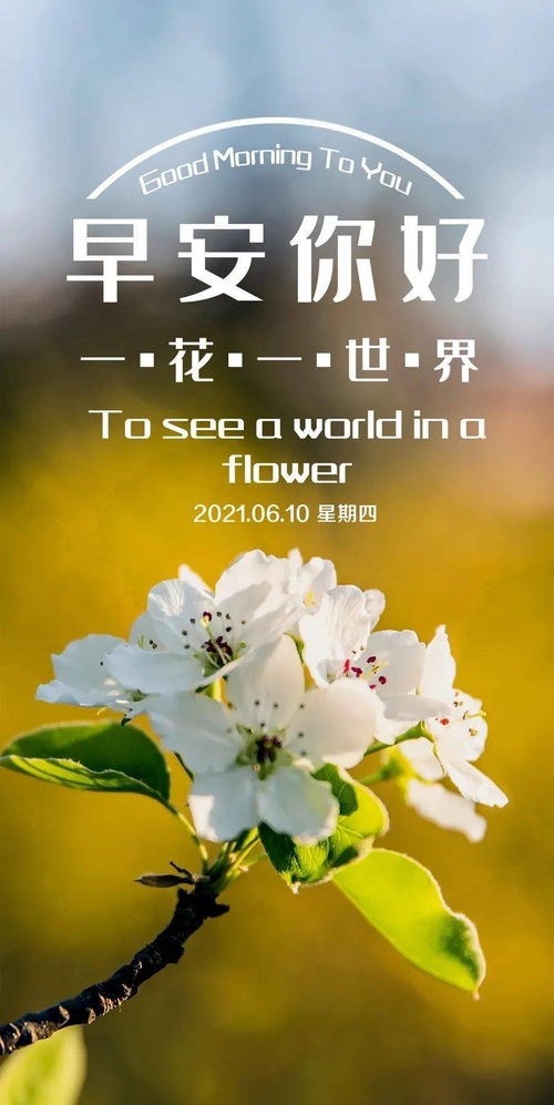 早上好努力正能量句子