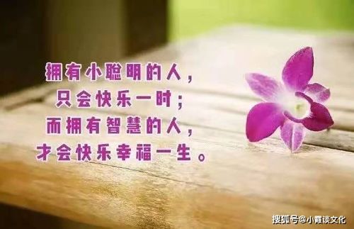 句子,能量,自信,美麗