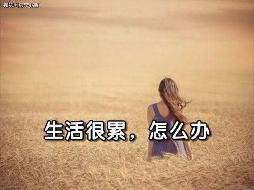 晚安生活正能量朋友圈句子,生活正能量句子發(fā)朋友圈短句,生活正能量句子發(fā)朋友圈