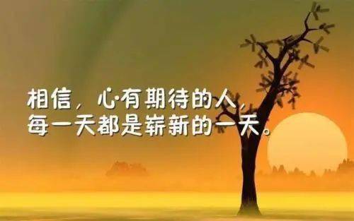 感慨的正能量句子