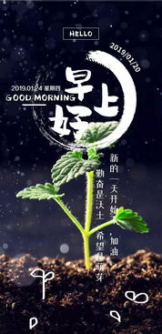 早上打招呼正能量的句子