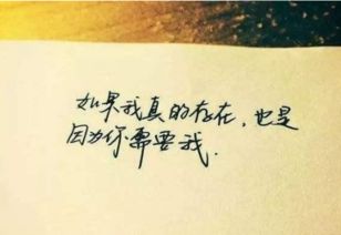 《正能量》里的經(jīng)典句子