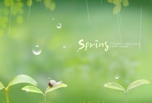 積極向上正能量的句子短句,工作積極向上正能量的句子,形容積極向上正能量的句子