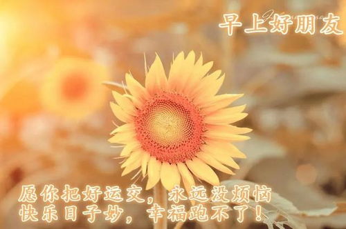 正能量向上的句子簡短認(rèn)真生活