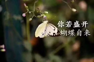 社會正能量的名言句子