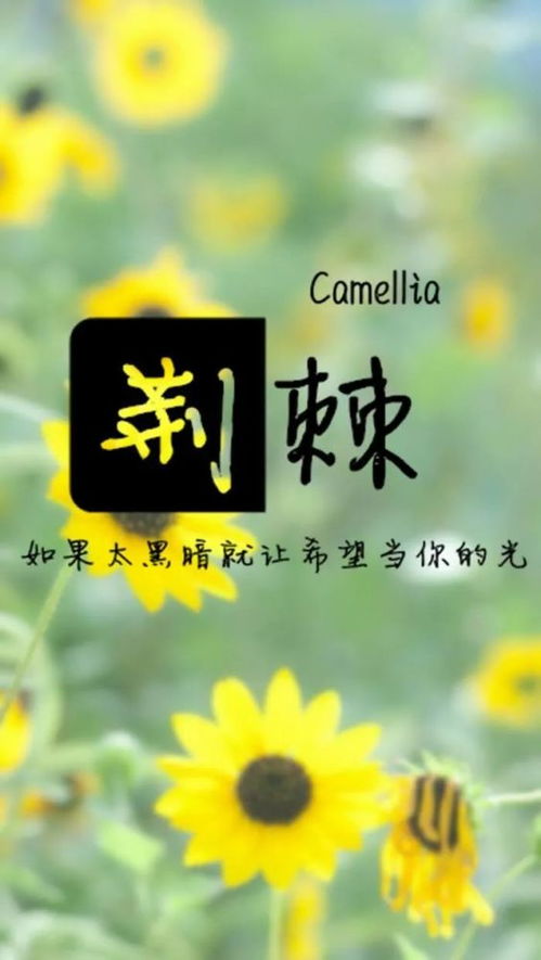 句子,能量,干凈