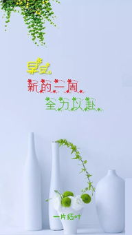 句子,能量,配合,工作