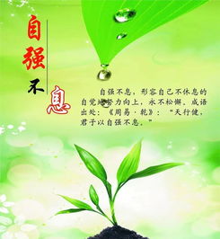 關(guān)于堅(jiān)持的正能量句子,懂得感恩的正能量句子,新的開始新的起點(diǎn)正能量句子