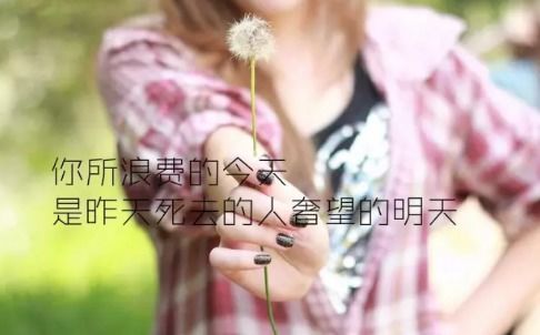 有關于正能量簡短的句子大全