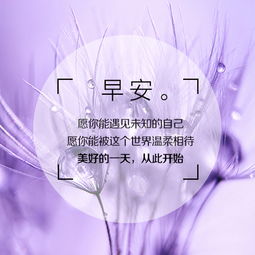 尋找一句字正能量的句子激勵一下自己